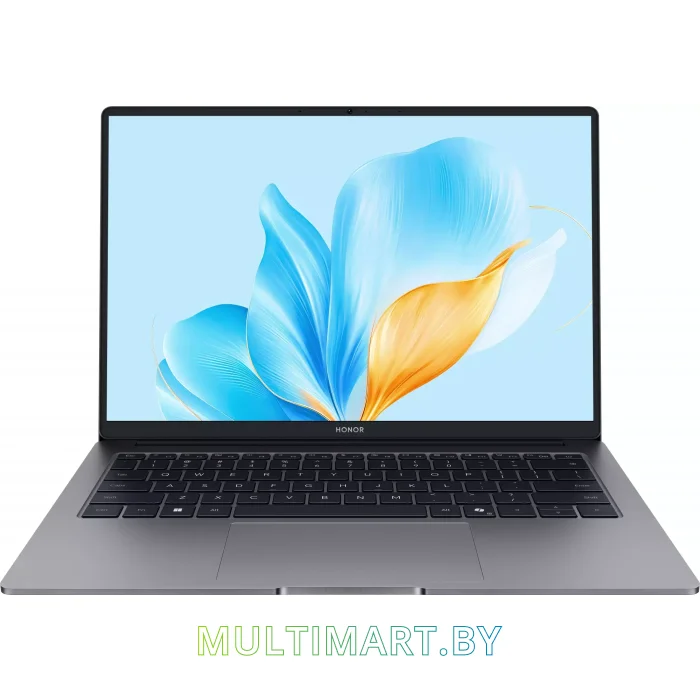Ноутбук HONOR MagicBook X14 FRG-X (5301ALXL)